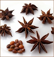 Chakra Phool (Star anise), Star anise exporters in India, Indian Star